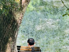 -上海共青森林公园