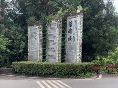 -中国大熊猫保护研究中心雅安碧峰峡基地