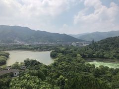 -天下玉苑