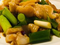 拌鸟贝-日丰园海肠水饺·老字号大连海鲜(和平广场店)