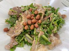 -东鸽皇(奥园·中环广场店)