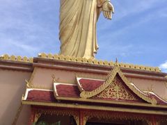 iphone_upload_pic-西双版纳勐泐文化旅游区