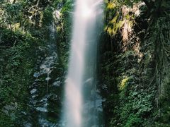 -莫里热带雨林景区
