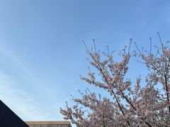 -龙美术馆(西岸馆)