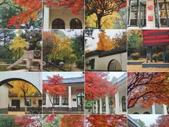 -西安市纺织公园