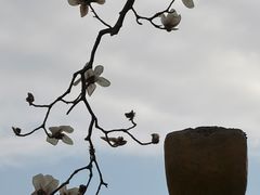 -王阿姨文昌油赞子(公园路店)