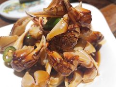 -前海沿·青岛菜(大拇指广场石老人店)