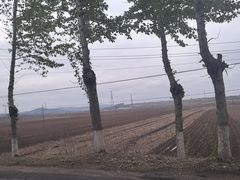 -三块石国家森林公园