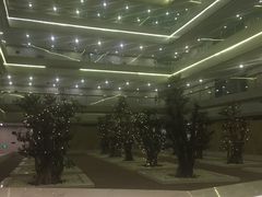 -南京禄口机场雅高铂尔曼大酒店