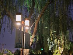 -济南大明湖景区
