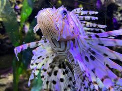 -太平洋海底世界