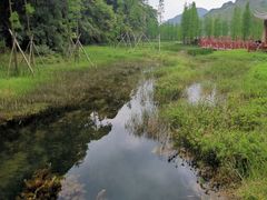 -广州市石门国家森林公园