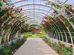 -大望京公园