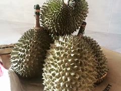 -101花果山山芭榴莲(史密斯街店)