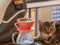 手冲咖啡 瑰夏-Me Coffee下午茶艺术空间