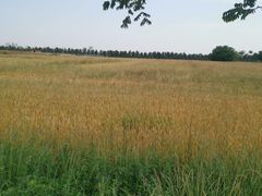 -汉长安城未央宫国家考古遗址公园