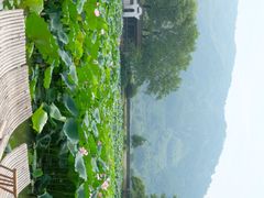 -呈坎景区