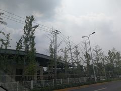 -上海浦江郊野公园-3号停车场