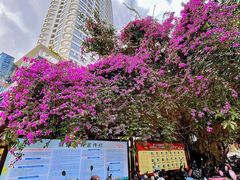 -万绿园