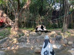 -广州长隆野生动物世界