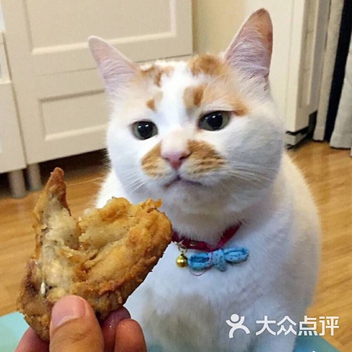 你好我是坚果上传的图片