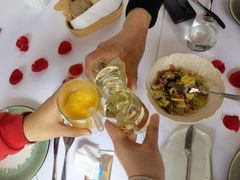 -蝶舍·MAISON PAPILLON