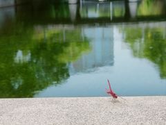 -尚贤河湿地