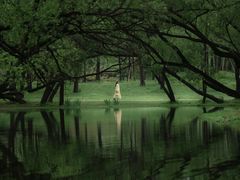 -上海共青森林公园