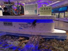 水产区-澜悦港海鲜体验主题餐厅