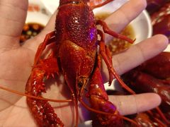 -红盔侠小龙虾(海宁银泰店)