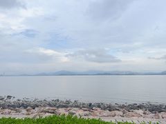 -深圳湾公园(南山区)
