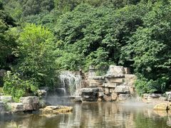 -北京西山国家森林公园