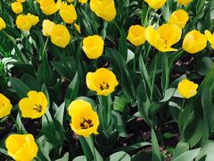 -长春公园(普阳街道)