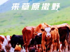 -百里天路