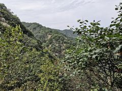 -抱龙峪