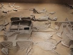 -洛阳周王城天子驾六博物馆