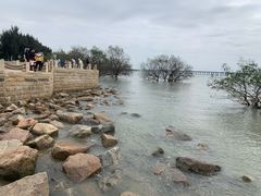 -宝安西湾红树林湿地公园