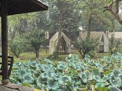 -烟水渔庄餐厅(西溪湿地店)