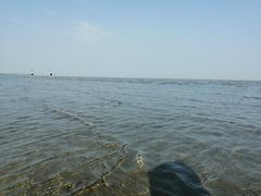 -南汇嘴观海公园