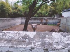 -祥源·阜阳生态乐园