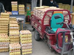 -西北农副产品中心批发市场(广安路店)