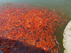 -西海子公园