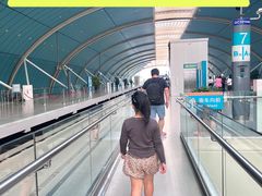 -龙阳路磁悬浮列车总站-停车场