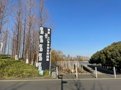 -南京眼步行桥
