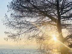 -蓝壁虎咖啡酒馆