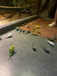 -酷嗒动物文化乐园(cutezoo西溪乐天城店)