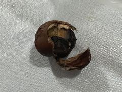 -秋栗香(地安门店)