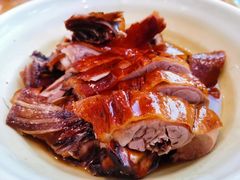 皮脆肉嫩的红皮鸭-晓马鸭店(新芜路店)