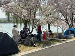 -羊山湖公园