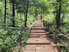 -青城山